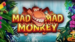 mad mad monkey demo