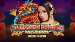 logo Floating Dragon Hold and Spin
