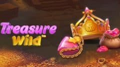 treasure wild logo