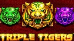 triple tigers logo