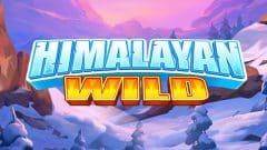 img rep logo slot Himalayan wild