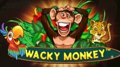 img rep logo slot wacky monkey